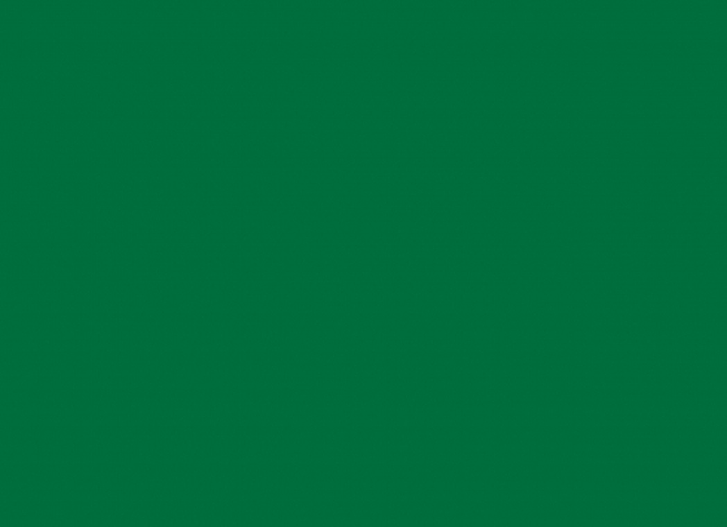 Фарба поліефірна порошкова зелена СПЕЦКОЛОР RAL 6024 25 кг